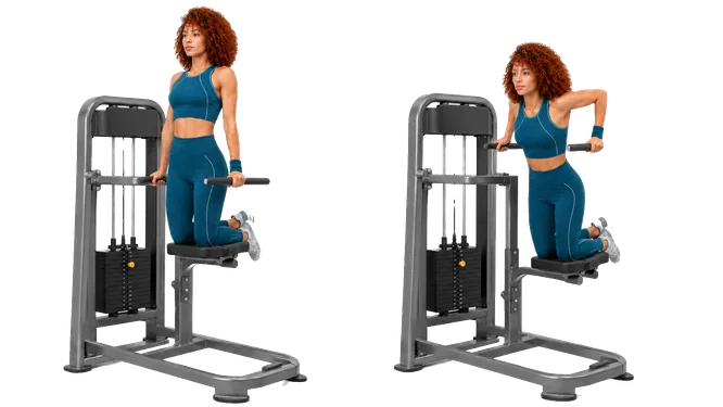 Machine-Assisted Dip demonstration