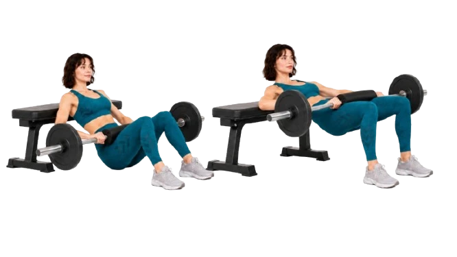 Barbell Hip Thrust demonstration