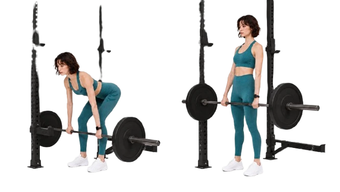 Barbell Rack Pull demonstration