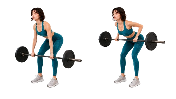 Barbell Row demonstration