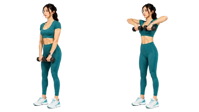Dumbbell High Pull demonstration