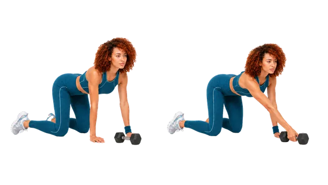 Dumbbell Quadruped Pull Through demonstration