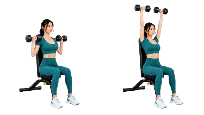 Standing Dumbbell Shoulder Press demonstration