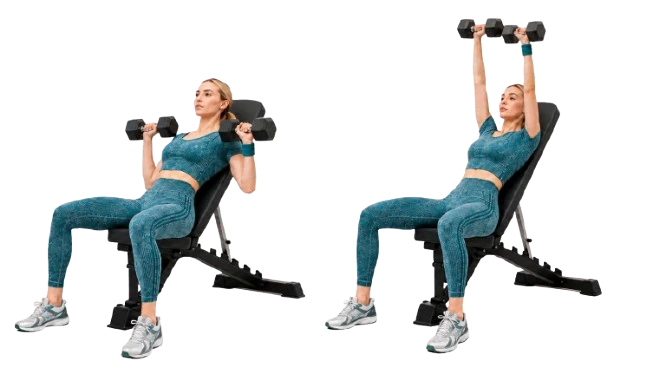 Incline Dumbbell Bench Press demonstration