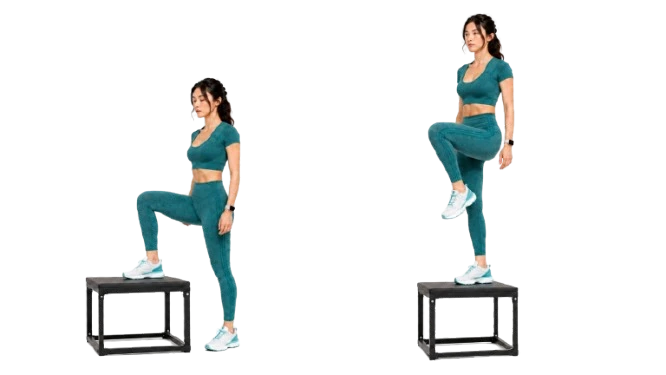 Lateral Box Step-Up demonstration