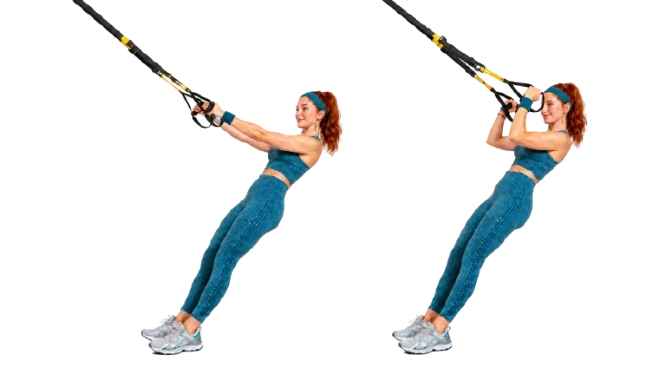 TRX Biceps Curl demonstration